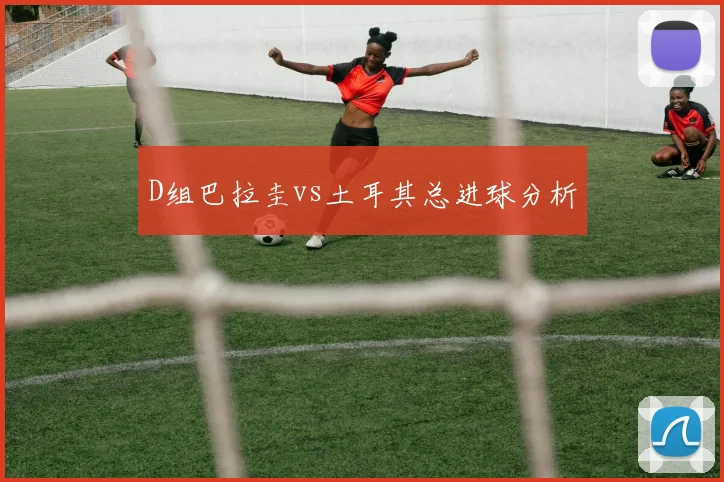 D组巴拉圭vs土耳其总进球分析