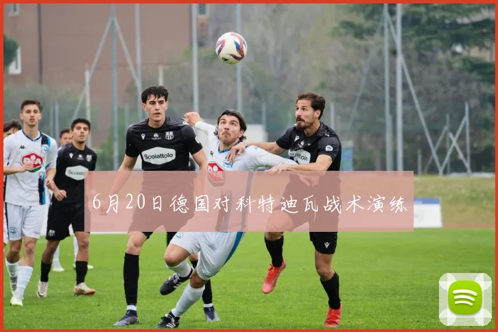 6月20日德国对科特迪瓦战术演练