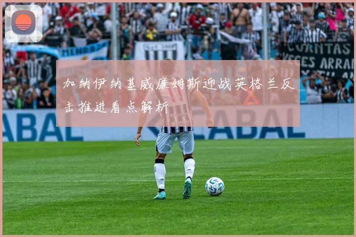 加纳伊纳基威廉姆斯迎战英格兰反击推进看点解析